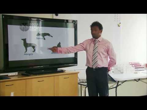 Is Your Pet a Racist? | LEGALLY BROWN