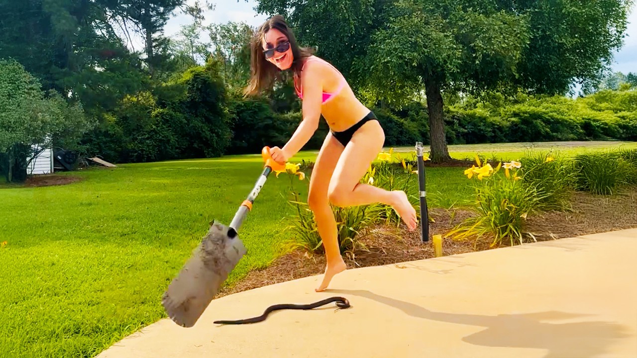 Best Fails of October 2026 😂 Impossible Try Not to Laugh Challenge!