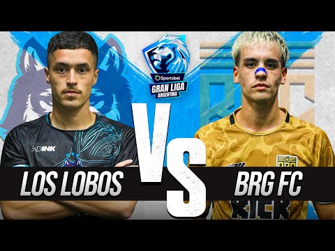 THE WOLVES VS BRG || BIG LEAGUE⚽