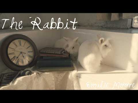 The Rabbit - Emilee Moore