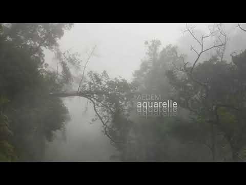 Aedem — Aquarelle