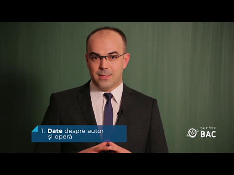 08. Luceafărul de Mihai Eminescu / prof. Gabriel Braic (PROMO)