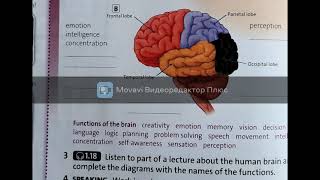 Solutions 11 The human brain Ex.3 p.24.