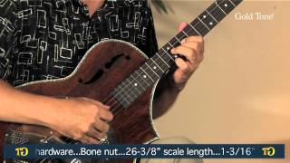 Acoustic Body Resophonic 5-String Banjo