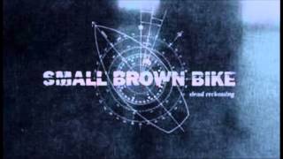 Small Brown Bike - The Vacuum