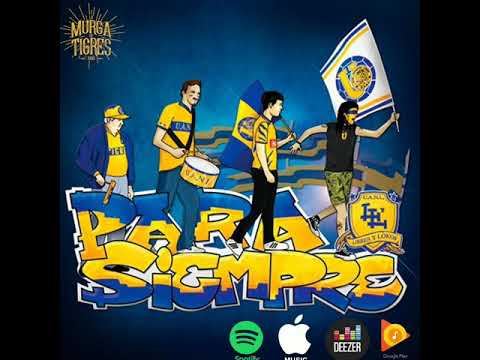 Dale dale, dale Tigres