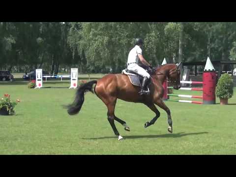 Le Co Q As-Couleur Rouge mare * 2011 for sale