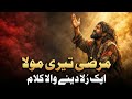 مرضی تیری مولا Ek Rula Dene Wala Kalam 2026 Heart Touching Emotional Sufi Qawwali
