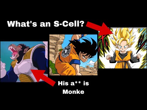 How Does Saiyan Biology Work? - An Extensive and Overly Complicated Guide