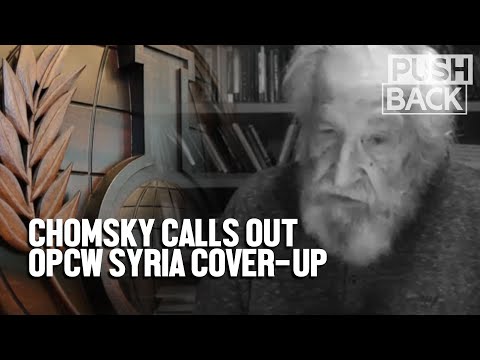 Chomsky: OPCW cover-up of Syria probe is 'shocking'