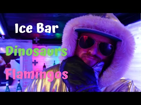 在EL CALAFATE可以做什麼（除了參觀冰川！） | 冰酒吧 + 恐龍博物館 + 火烈鳥 ? (What TO DO in EL CALAFATE (Aside from Visiting Glaciers!) | Ice Bar + Dinosaur Museum + Flamingoes ?)