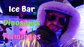 What TO DO in EL CALAFATE (Aside from Visiting Glaciers!) | Ice Bar + Dinosaur Museum + Flamingoes 🦩