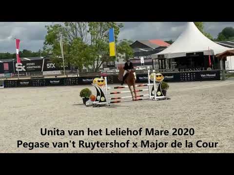 Unita van het Leliehof