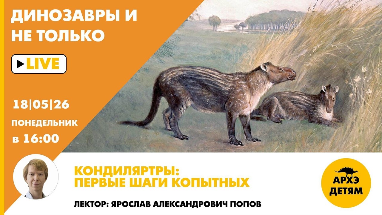 Занятие «Кондиляртры: первые шаги копытных» рубрики "Динозавры и не только" ?