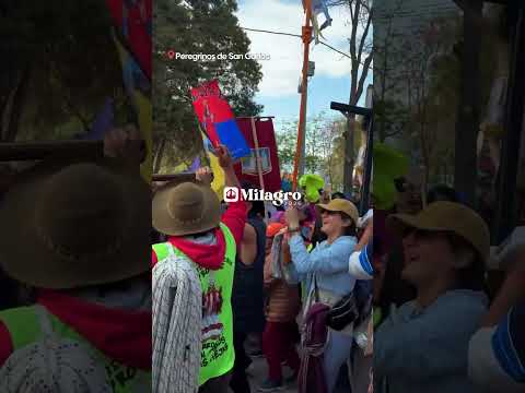 🤩🙏 ¡BAILANDO Y CANTANDO!: ASÍ LLEGAN LOS PEREGRINOS DE SAN CARLOS A LA CATEDRAL | #QUEPASASALTA