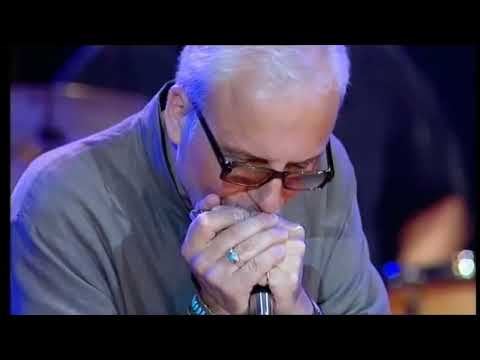 Harmonica solo, F harmonica