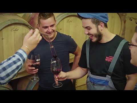 V Posavju živijo najlepši fantje!