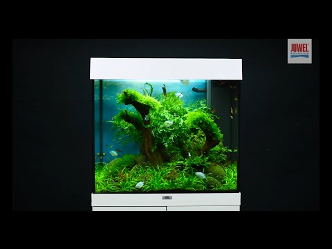 Watch Video on YouTube