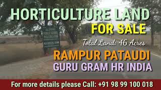 Agricultural Land for Sale in Pataudi, Gurgaon