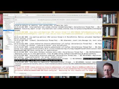 Java und Jakarta EE 8 Starter