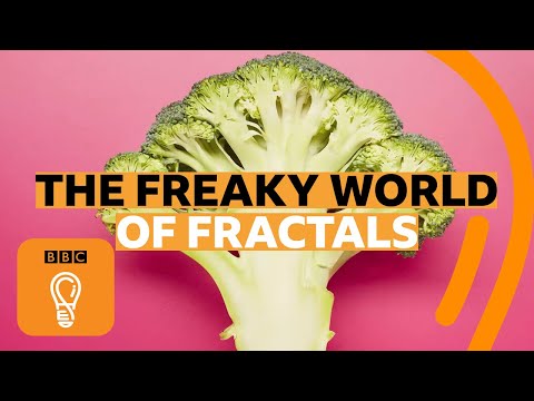 How fractals can help you understand the universe | BBC Ideas