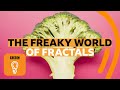 How fractals can help you understand the universe | BBC Ideas