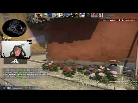 Monesy Vac Shot Na Rpl