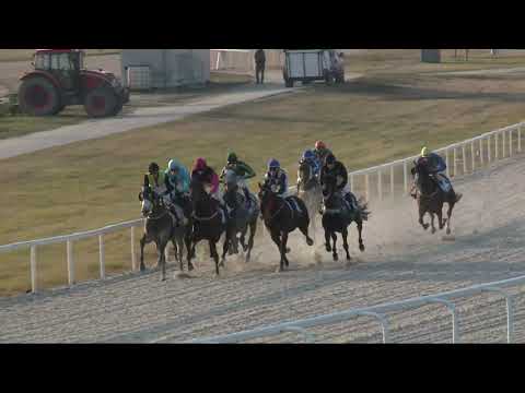 2021.11.07. 08. futam - GRÓF KEGLEVICH LÁSZLÓ EMLÉKVERSENY HENDIKEP (IV.o.) (szintetikus pálya)