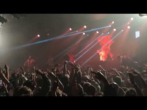 Space Hammu - Hammu Nation en DIRECTO