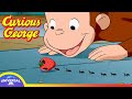 Who Let The Ants In CURIOUS GEORGE