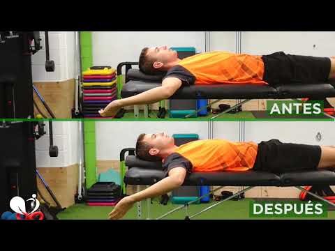 Roots Comparativa intrasecdión Marc Quílez