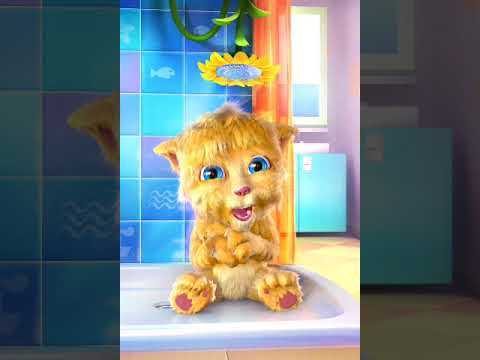 23 јануари 2025