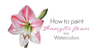 How to paint realistic Amaryllis flower with watercolors 💮Beautiful white flower art