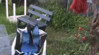 Bitch Prefect - Come Get It