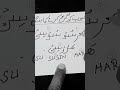Bengali Amliyat Shorts