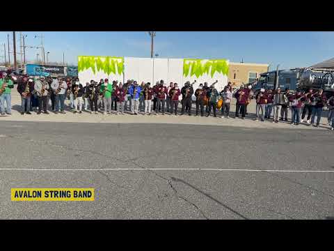 Avalon String Band "Wellerman" - 2023 Rehearsal Warmup