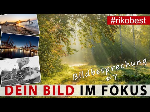 Dein Bild im Fokus #7 Fotografieren lernen, durch Bildanalyse & Bildbesprechung besser fotografieren