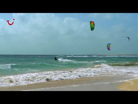 Discover the Best of Sal with TUI Musement