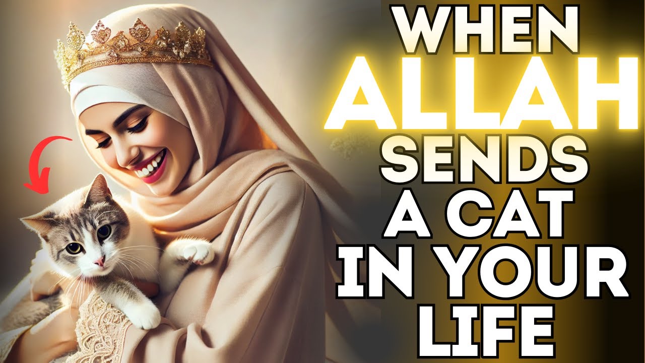 If a Cat Comes Close to You, HERE ARE 5 MESSAGES FROM ALLAH!
