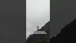 Download lagu Tidak butuh Motivasi kalau lagi Capek #quotes #motivasi #motivation #katakatamotivasi mp3