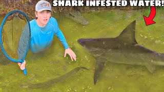 I Found a Pond INFESTED with Monster Sharks!