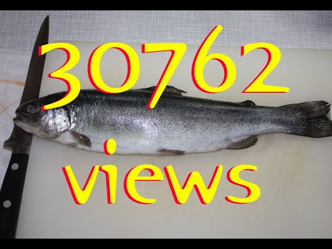 Filetiranje pastrve THE BEST WAY TO Filleting trout