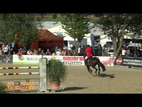 Prf01 48 Hans Dieter Dreher   Magnus Romeo - Fest der Pferde 2015 - Immenhöfe