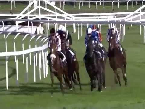 2016.10.16 Gran Criterium (ITA) - Skarino Gold