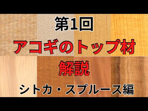 モミかスプルースか?違い 庭の練習
