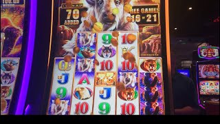 120X Big Win on Buffalo Chief! Huge line hit! #slots #slotmachines #casino #liveslot #gambling