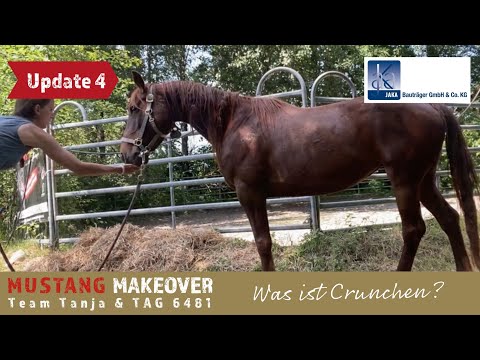 Crunchen mit einem Mustang🐴 - Team Tanja | Mustang Makeover 2023
