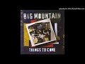 Big Mountain - 11. Touched