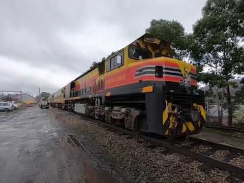 BRM002 walk around Eskbank NSW.  Mon 29th June 2020