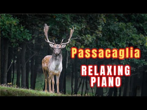 Passacaglia 1 hour version, Handel-Halvorsen, beautiful piano music | relaxing music | sleep music